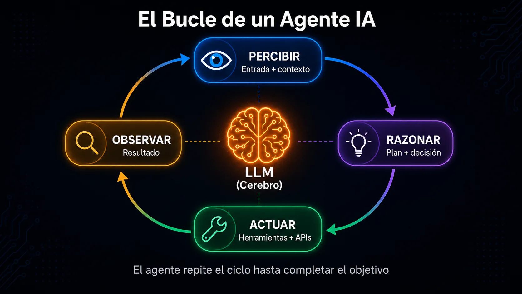 El bucle de un agente IA: percibir, razonar, actuar y observar con el LLM como cerebro central